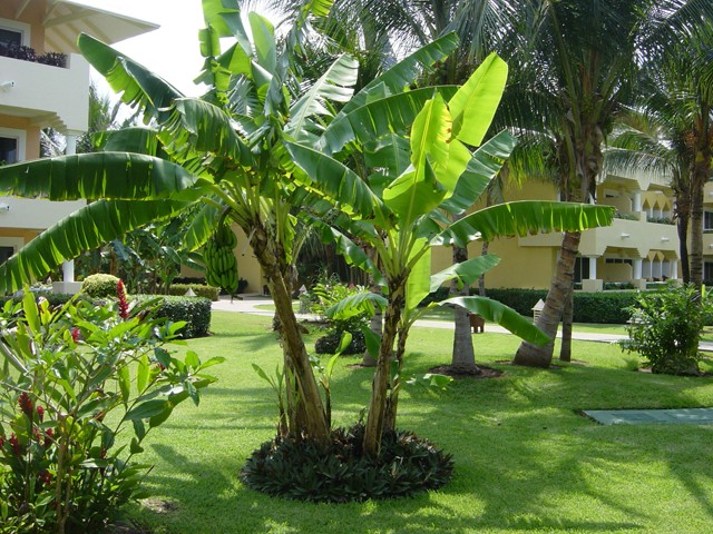 Hotel_grounds_12