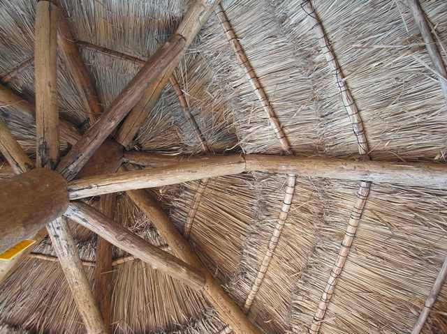 My_vantage_point_from_under_my_palapa